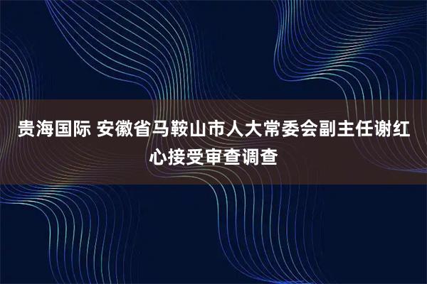 贵海国际 安徽省马鞍山市人大常委会副主任谢红心接受审查调查