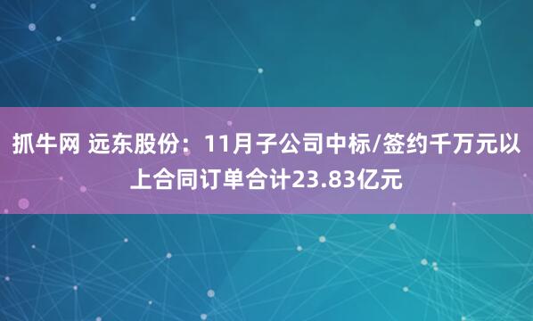 抓牛网 远东股份：11月子公司中标/签约千万元以上合同订单合计23.83亿元
