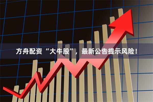 方舟配资 “大牛股”，最新公告提示风险！