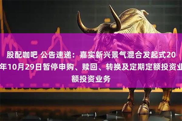 股配咖吧 公告速递：嘉实新兴景气混合发起式2025年10月29日暂停申购、赎回、转换及定期定额投资业务