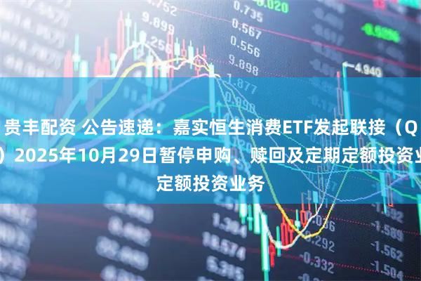 贵丰配资 公告速递：嘉实恒生消费ETF发起联接（QDII）2025年10月29日暂停申购、赎回及定期定额投资业务