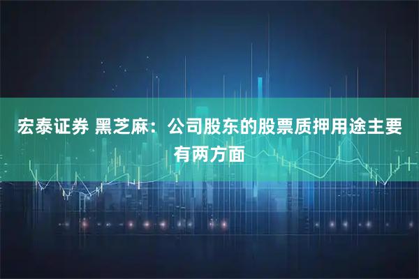 宏泰证券 黑芝麻：公司股东的股票质押用途主要有两方面