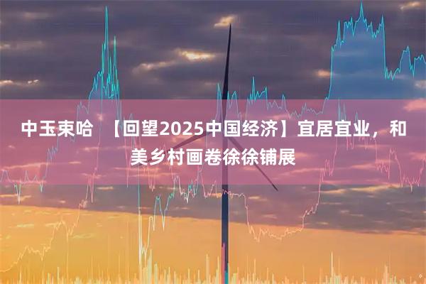 中玉束哈  【回望2025中国经济】宜居宜业，和美乡村画卷徐徐铺展
