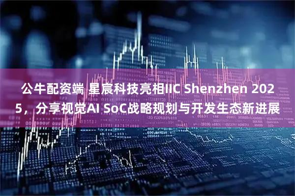 公牛配资端 星宸科技亮相IIC Shenzhen 2025，分享视觉AI SoC战略规划与开发生态新进展